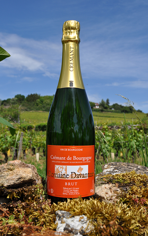 Crémant de bourgogne Domaine Davanture