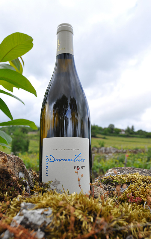 Givry Blanc 2021 Domaine Davanture