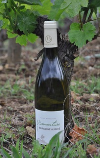 Bourgogne Aligoté 2022.